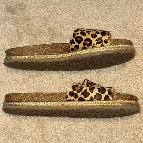 Cheetah slides - Picture 3 of 3